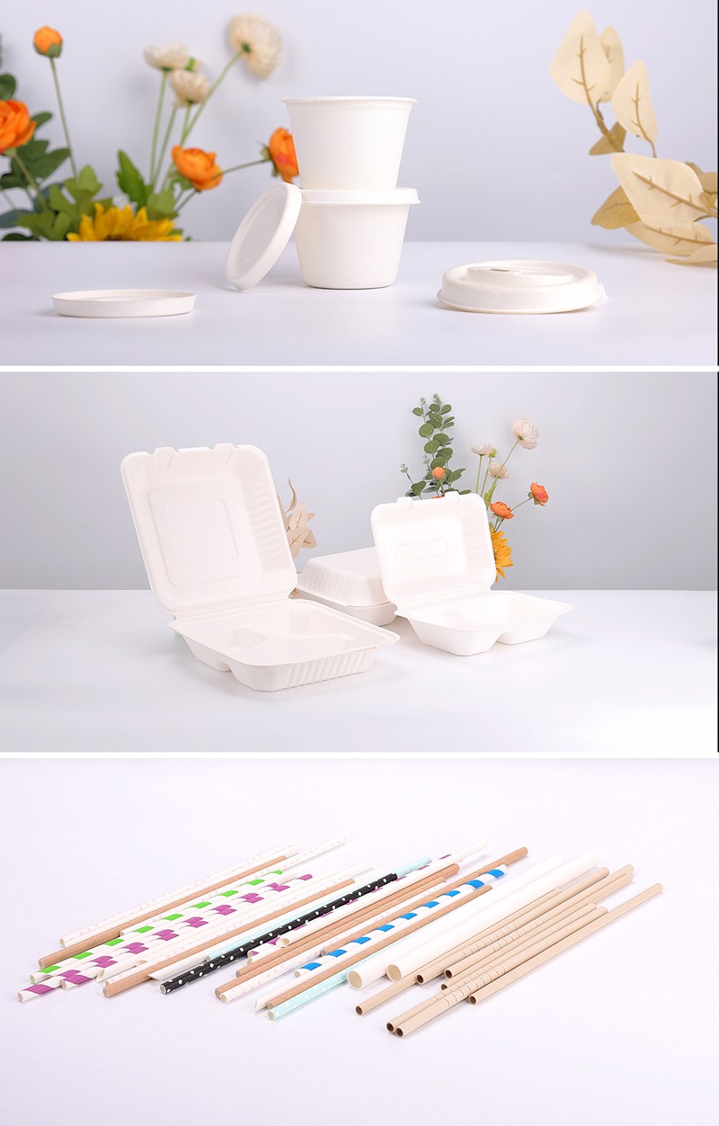 蔗渣产品